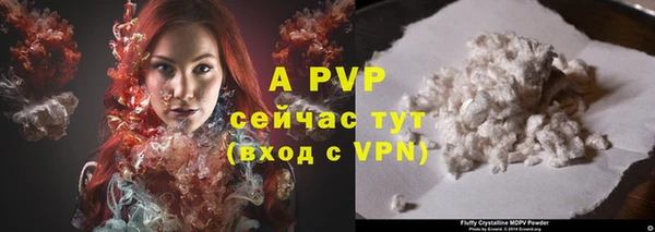 МДПВ Горняк