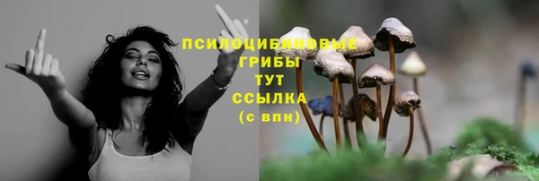 марки lsd Горно-Алтайск