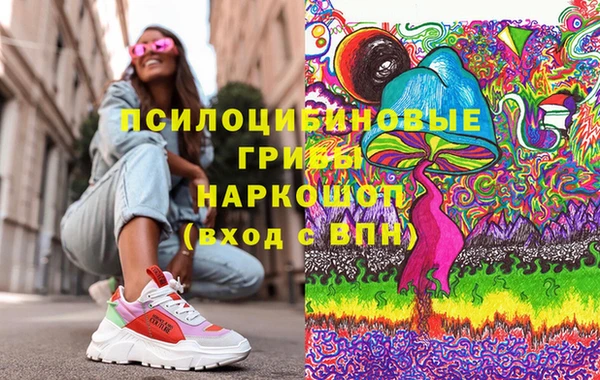 крисы Горнозаводск