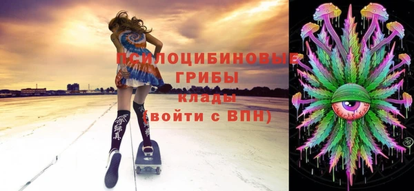 крисы Горнозаводск