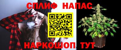 ПСИЛОЦИБИНОВЫЕ ГРИБЫ Заволжье