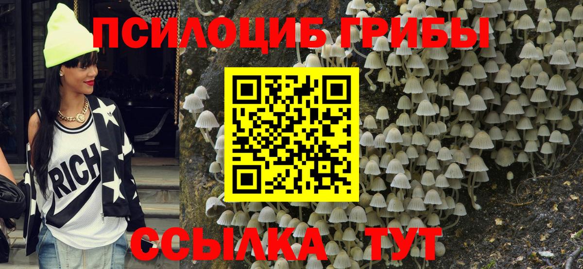 Мценск  Псилоцибиновые грибы ЛСД  Вход с VPN 